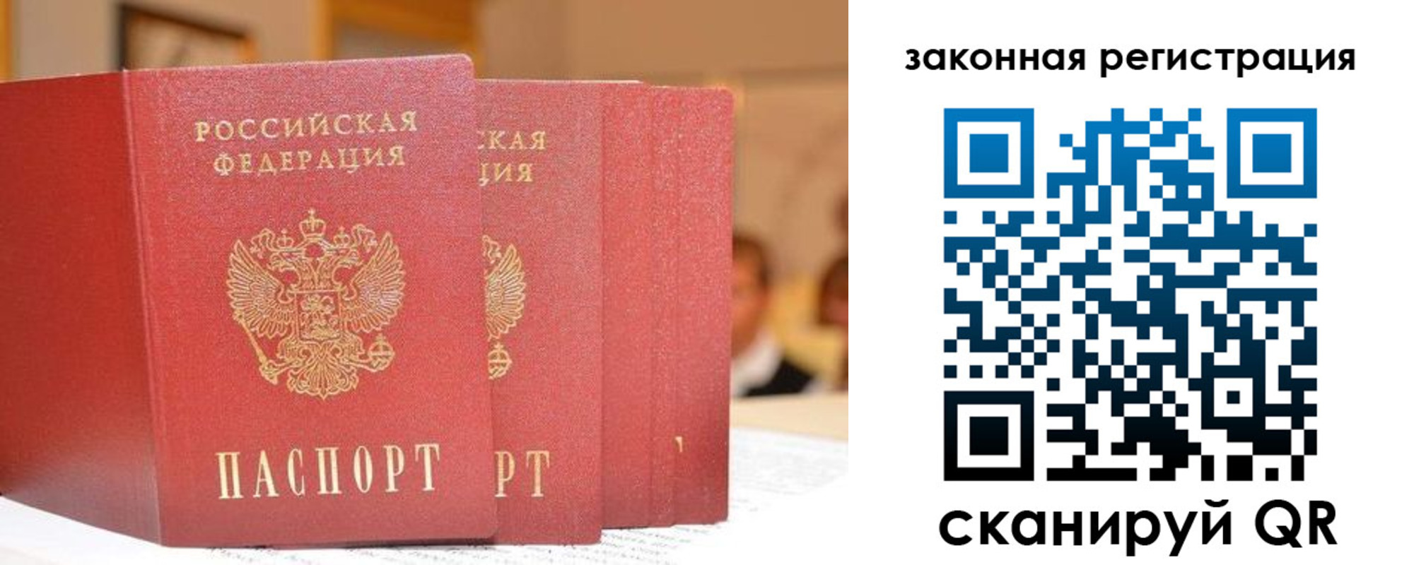прописка поиск в Отрадном
